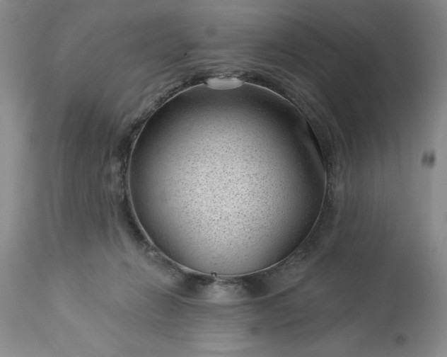 X0000113610270200910021811