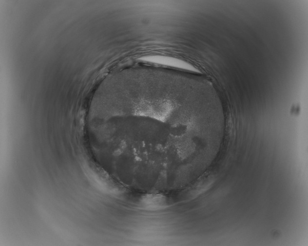 X0000113610271200910021811