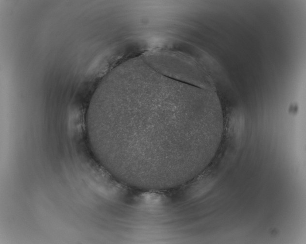 X0000113610272200910021811