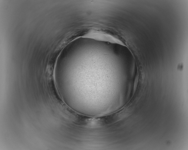 X0000113610273200910021811