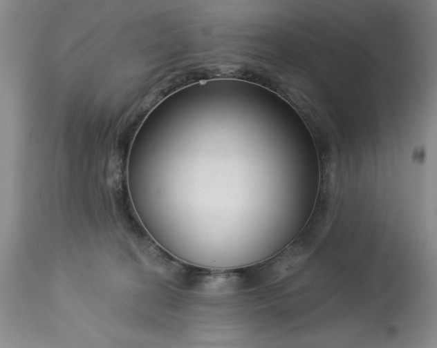 X0000113610274200910021811