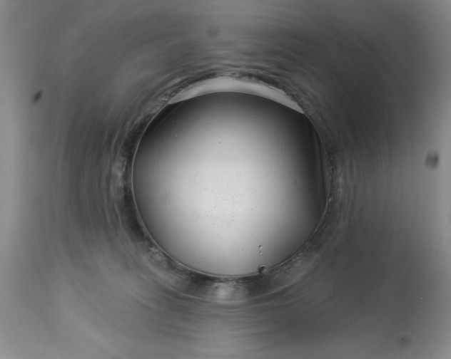 X0000113610275200910021811