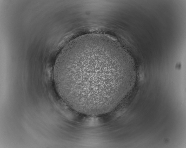 X0000113610276200910021811