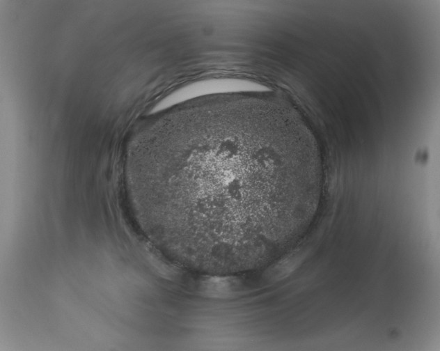 X0000113610277200910021811