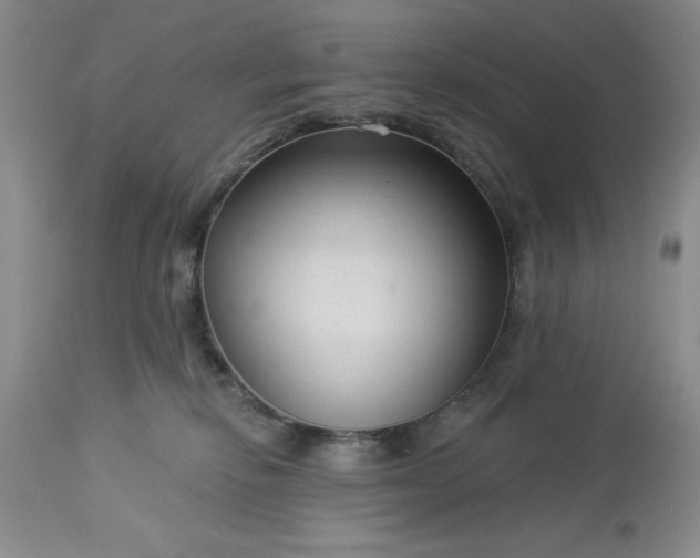 X0000113610278200910021811