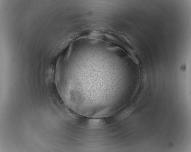 X0000113610281200910021811