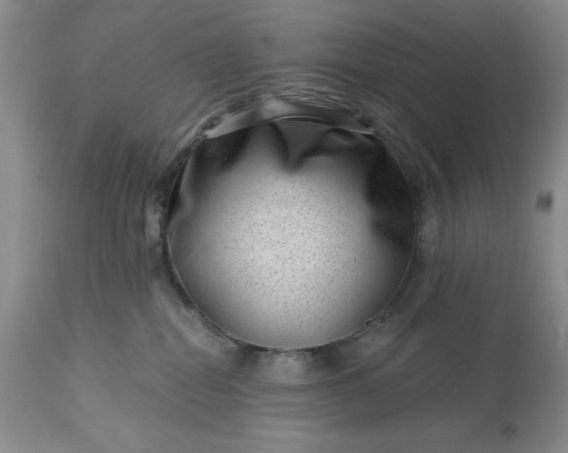 X0000113610282200910021811