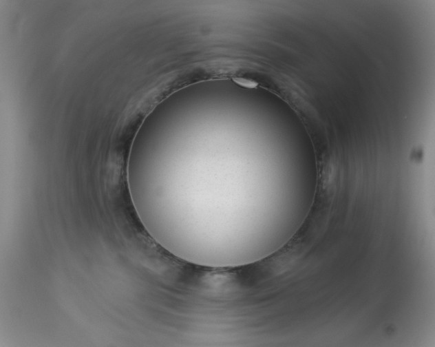 X0000113610283200910021811