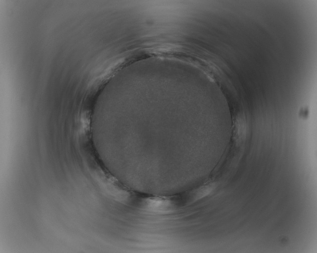 X0000113610284200910021811