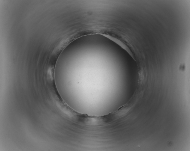 X0000113610286200910021811