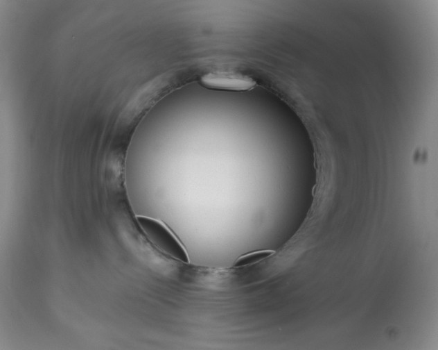 X0000113610288200910021811