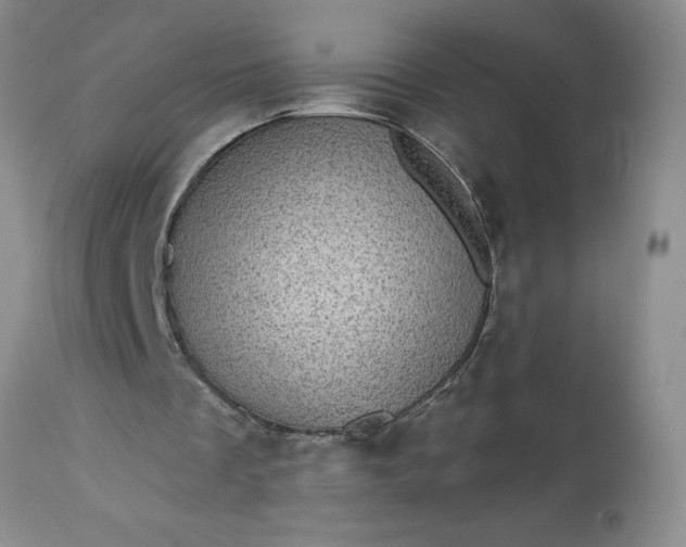 X0000113610289200910021810