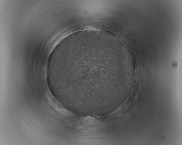 X0000113610290200910021810