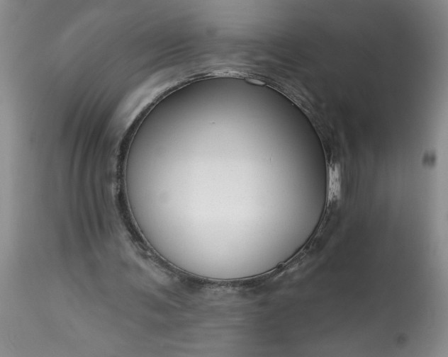 X0000113610291200910021810