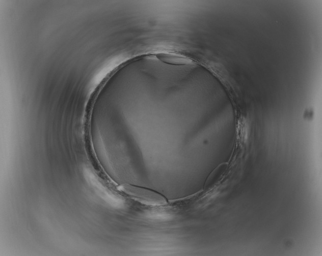 X0000113610292200910021810