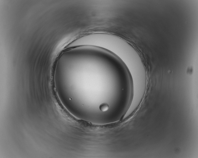 X0000113610293200910021810