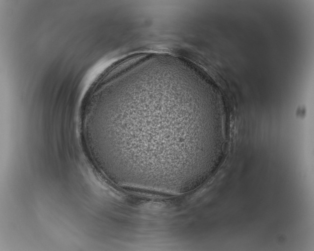 X0000113610294200910021810