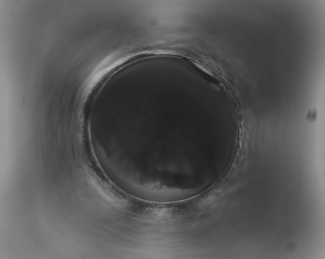 X0000113610295200910021810