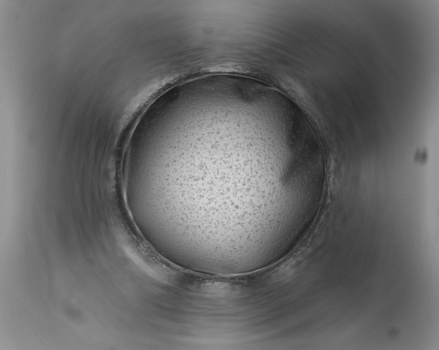 X0000113610298200910021810