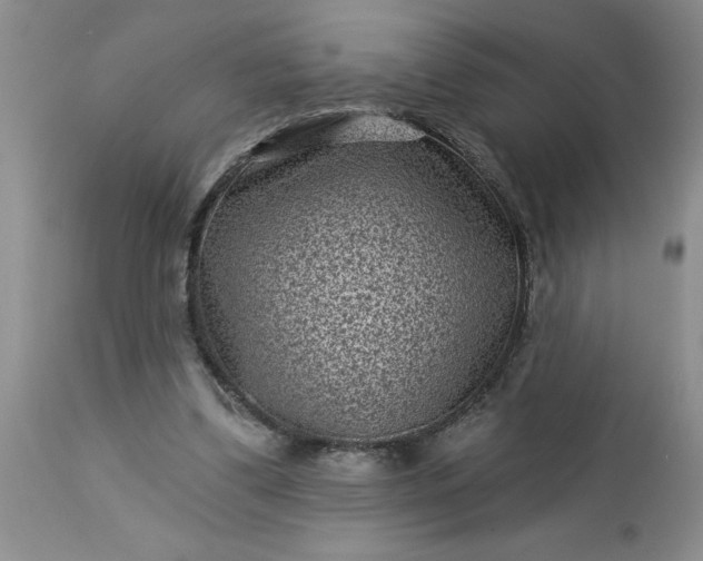 X0000113610299200910021810