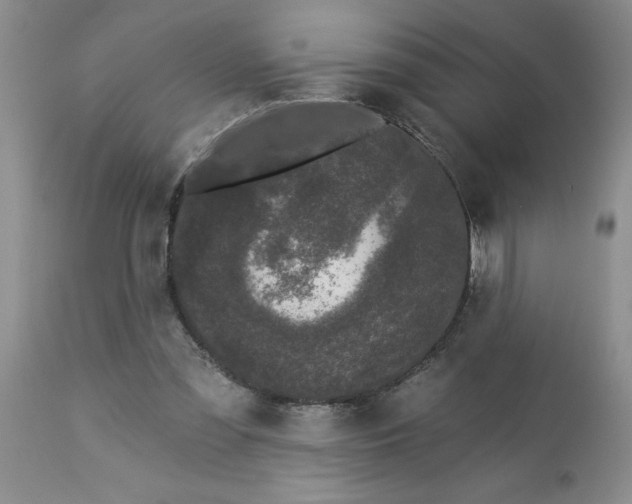 X0000113610301200910021810