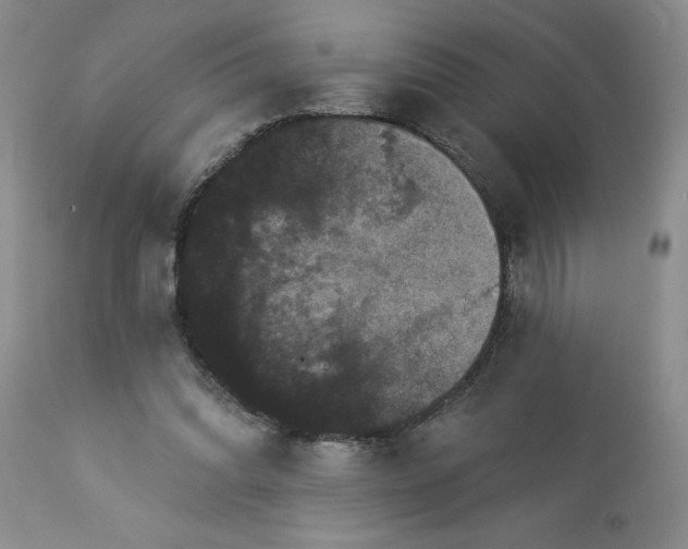 X0000113610302200910021810