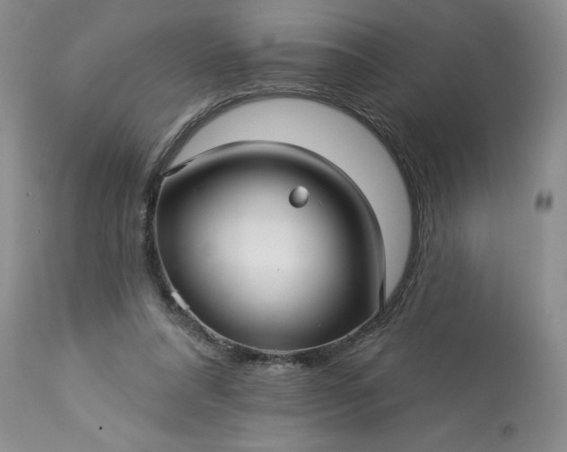 X0000113610304200910021810