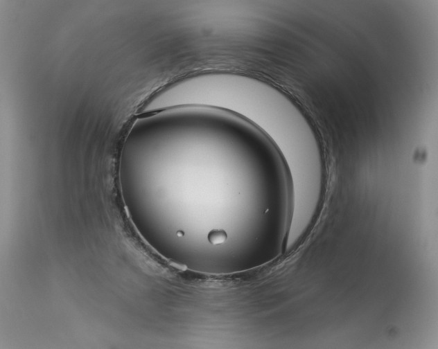 X0000113610305200910021810