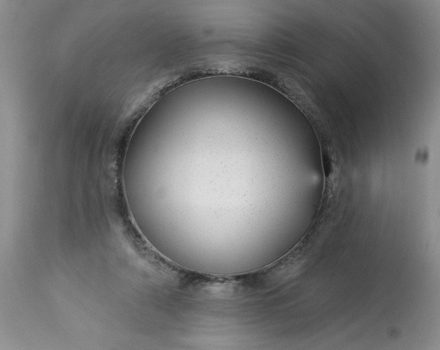 X0000113610306200910021810