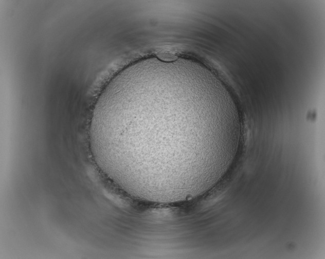 X0000113610307200910021810