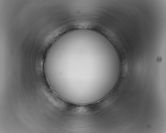 X0000113610310200910021810