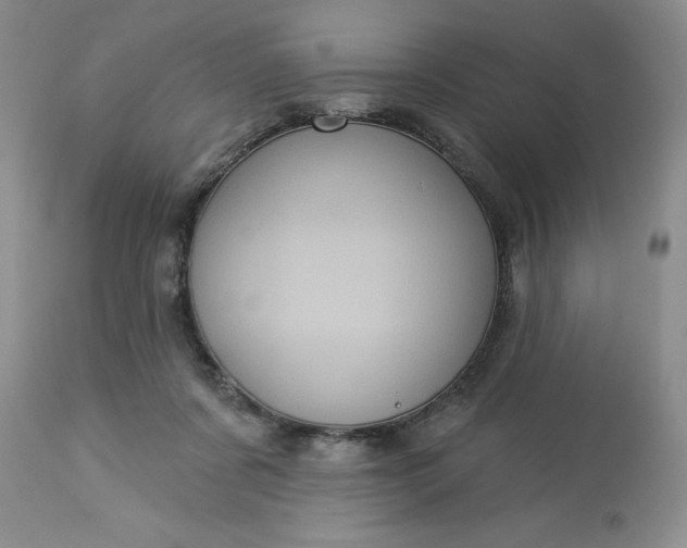 X0000113610311200910021810