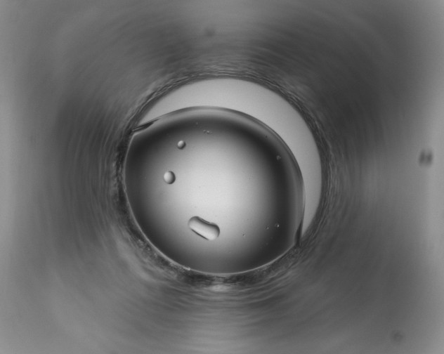 X0000113610312200910021810