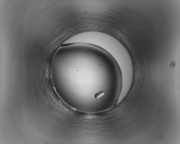 X0000113610313200910021810