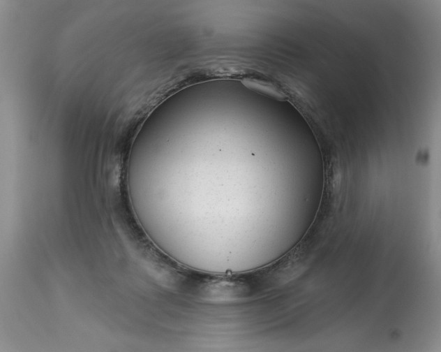 X0000113610315200910021810