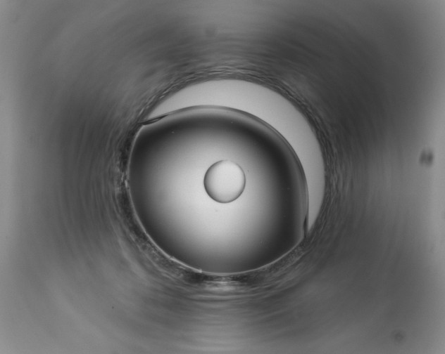 X0000113610316200910021810