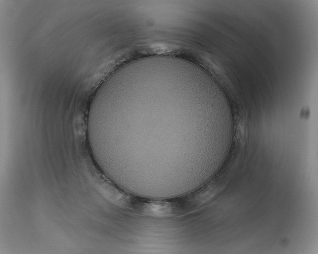 X0000113610317200910021810