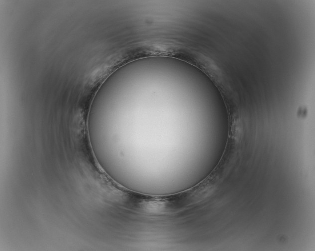 X0000113610318200910021810