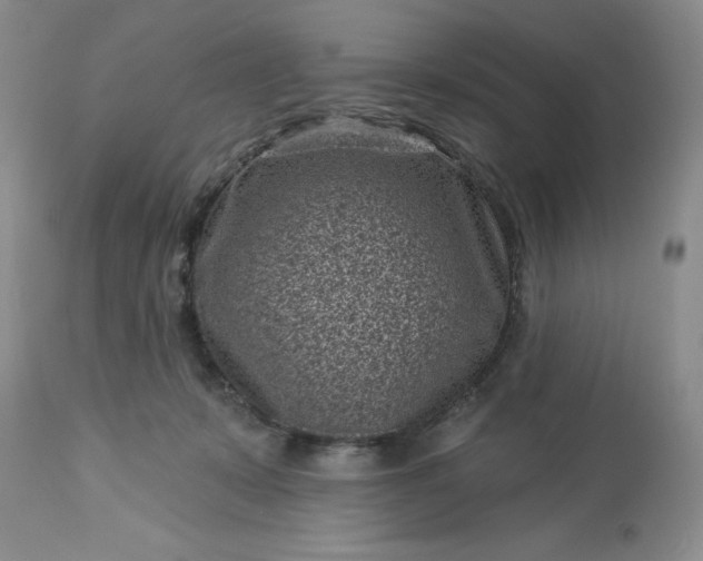 X0000113610319200910021810