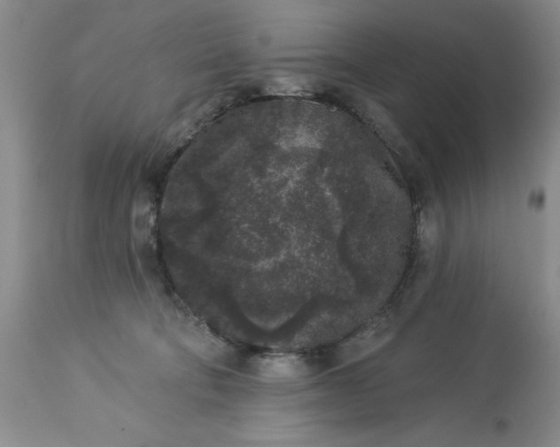 X0000113610322200910021810