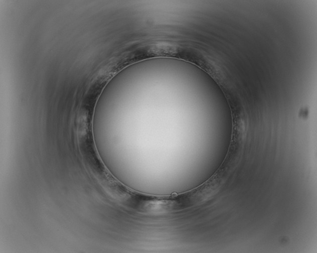 X0000113610323200910021810