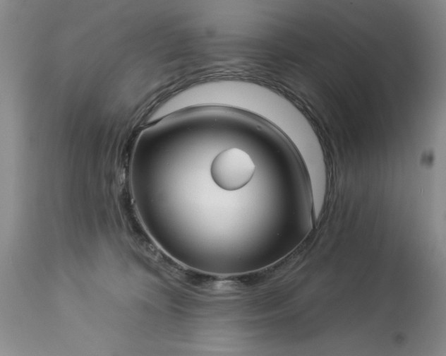 X0000113610324200910021810