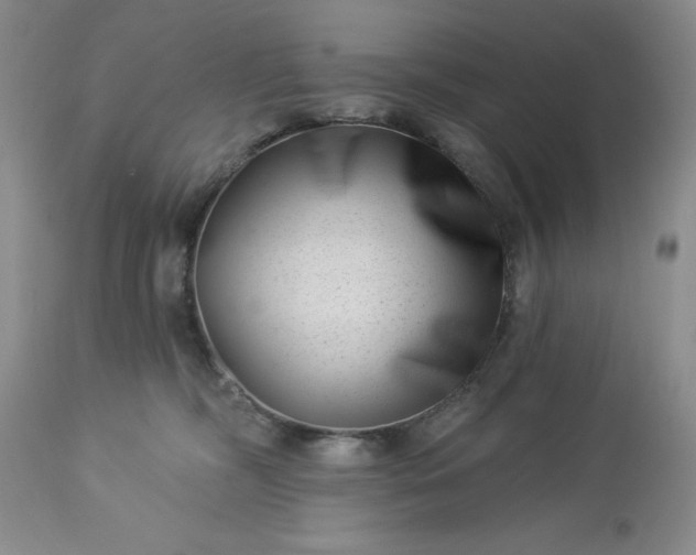 X0000113610326200910021810