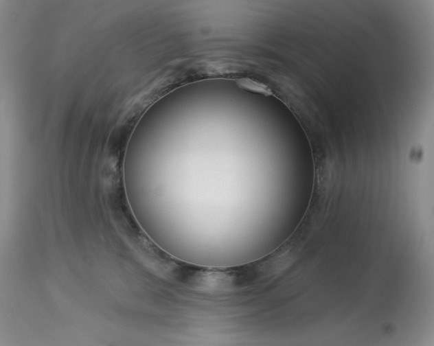 X0000113610327200910021810