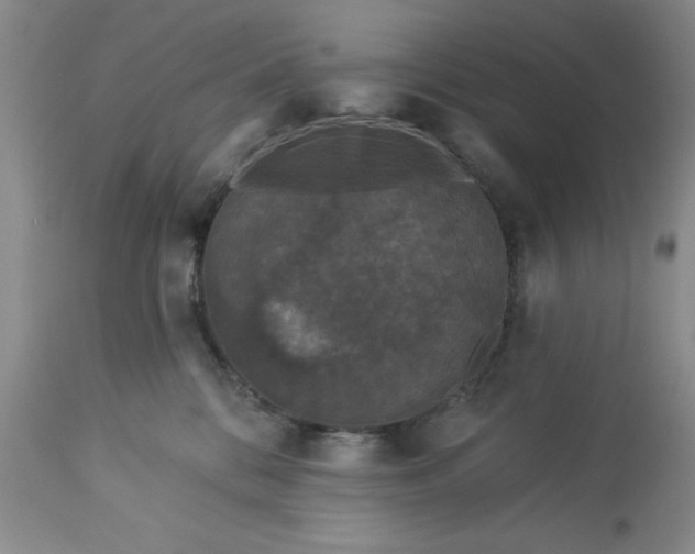 X0000113610328200910021810