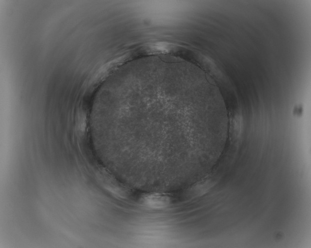 X0000113610331200910021810