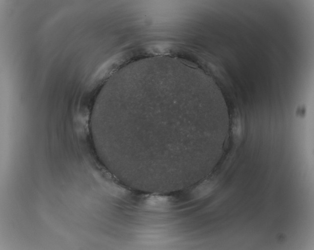 X0000113610332200910021810