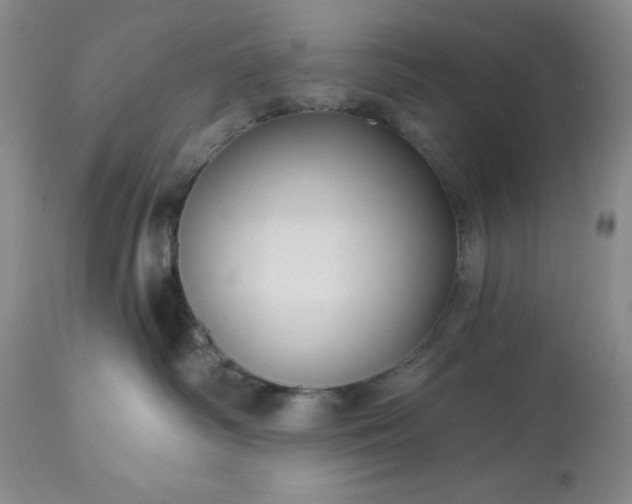 X0000113610334200910021809