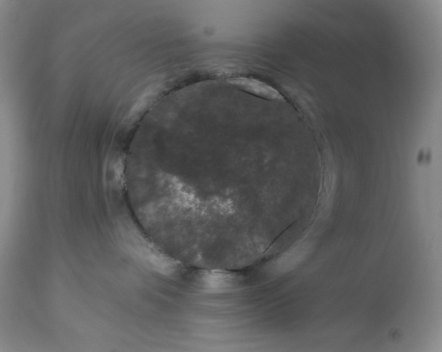 X0000113610336200910021809