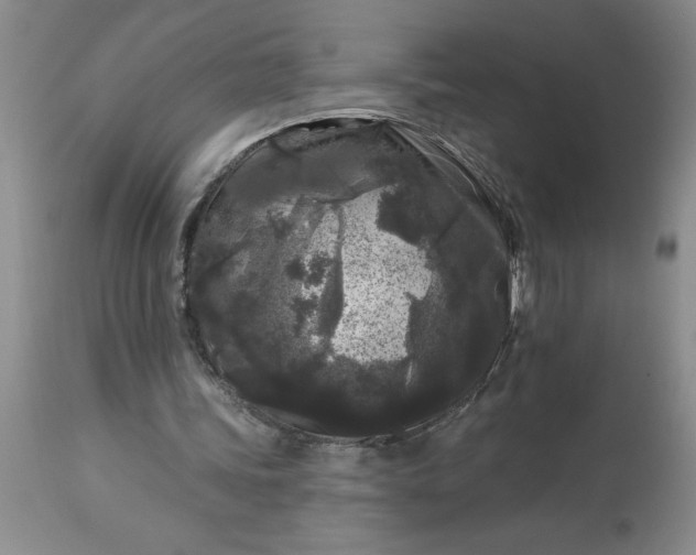 X0000113610339200910021809